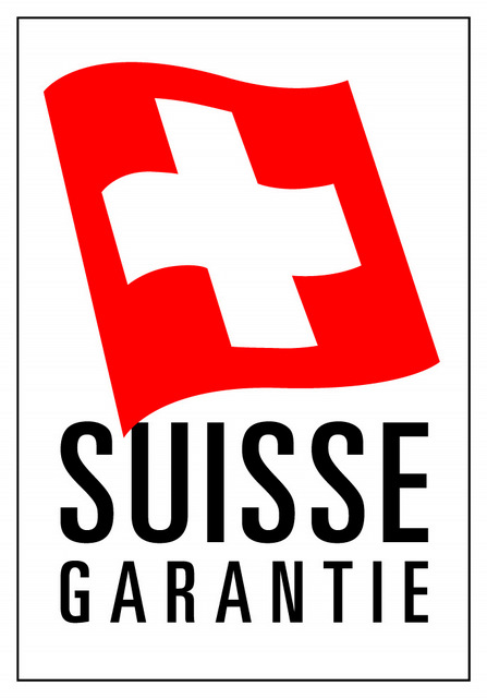 logo sg color